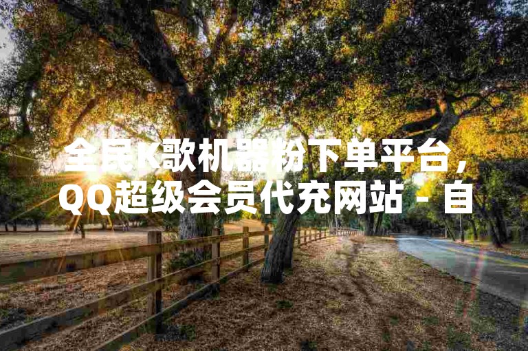 全民K歌机器粉下单平台，QQ超级会员代充网站 - 自动评论神器 - QQ业务中心震撼来袭！