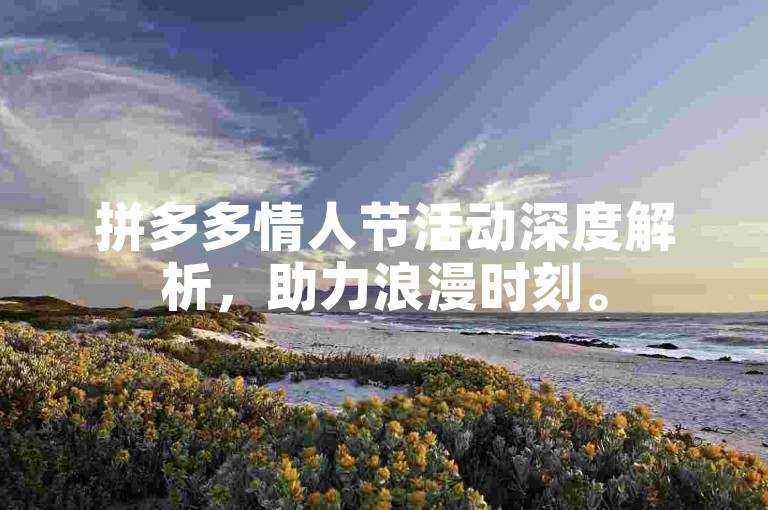 拼多多情人节活动深度解析，助力浪漫时刻。