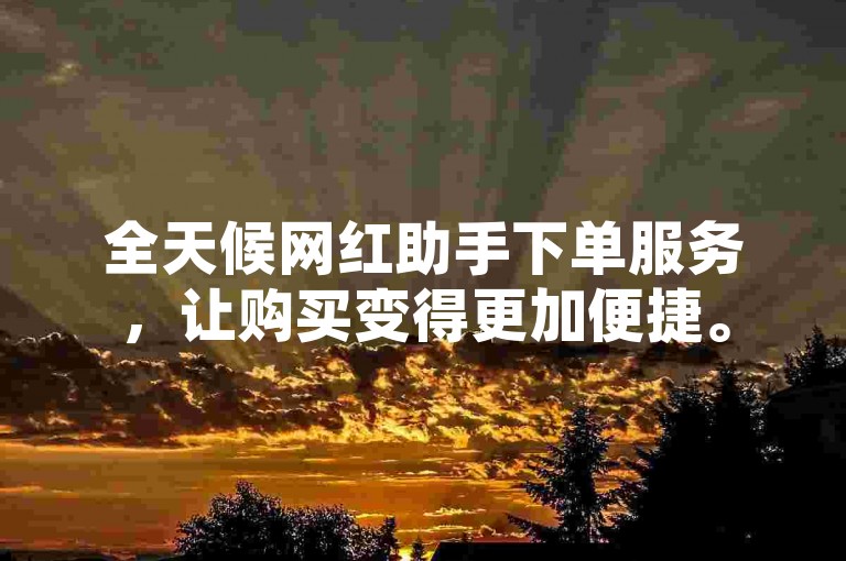 全天候网红助手下单服务，让购买变得更加便捷。