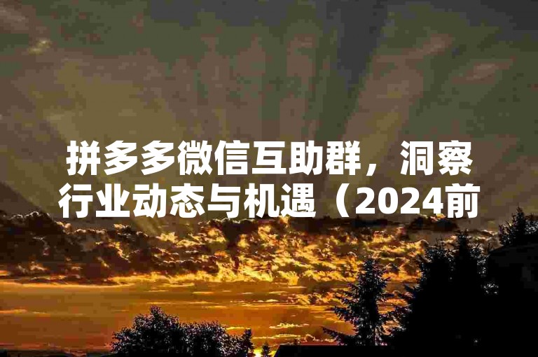 拼多多微信互助群，洞察行业动态与机遇（2024前瞻）。