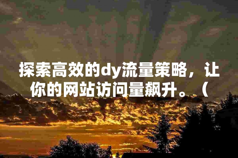 探索高效的dy流量策略，让你的网站访问量飙升。（提升网站流量的独家技巧）