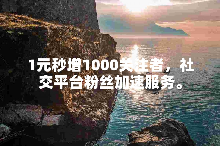 1元秒增1000关注者，社交平台粉丝加速服务。