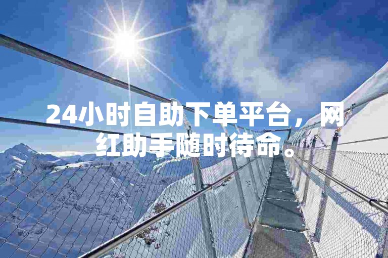 24小时自助下单平台，网红助手随时待命。