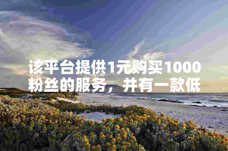 该平台提供1元购买1000粉丝的服务，并有一款低价自助下单软件专门针对抖音业务。