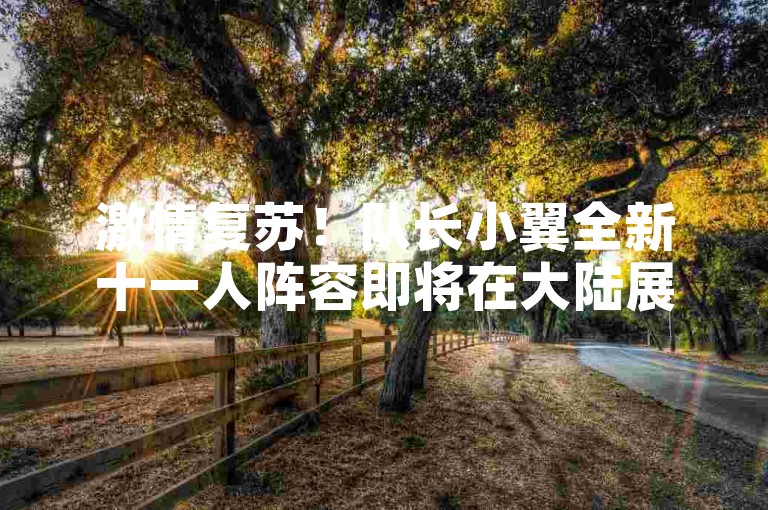激情复苏！队长小翼全新十一人阵容即将在大陆展开测试，绿茵场上的梦想再度启程。