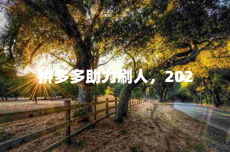 拼多多助力刷人，2025年免费加入微信群。