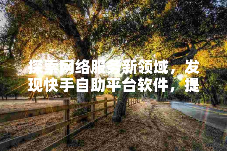 探索网络服务新领域，发现快手自助平台软件，提供多样化低价业务解决方案。
