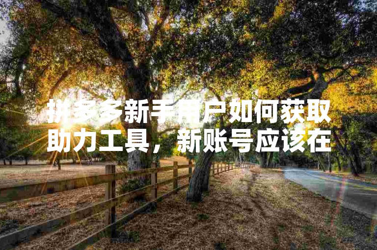 拼多多新手用户如何获取助力工具，新账号应该在哪里寻找？