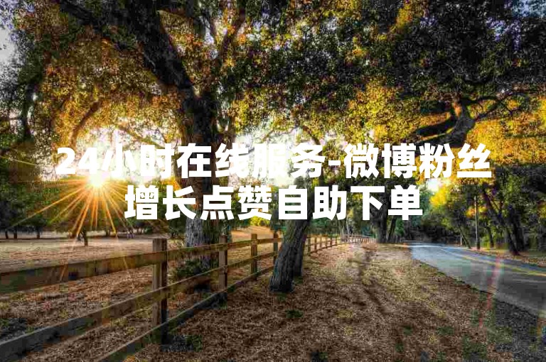 24小时在线服务-微博粉丝增长点赞自助下单