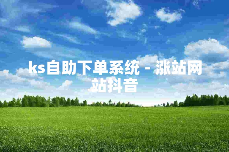 ks自助下单系统 - 涨站网站抖音
