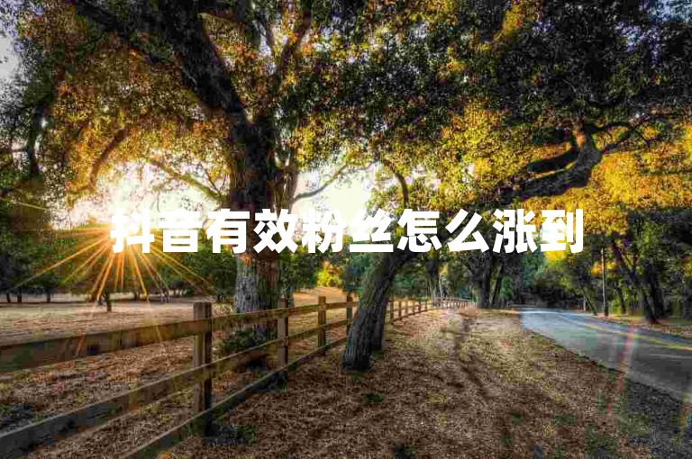 抖音有效粉丝怎么涨到500的独家揭秘，如何在抖音快速吸引500个真实粉丝！2025必学。