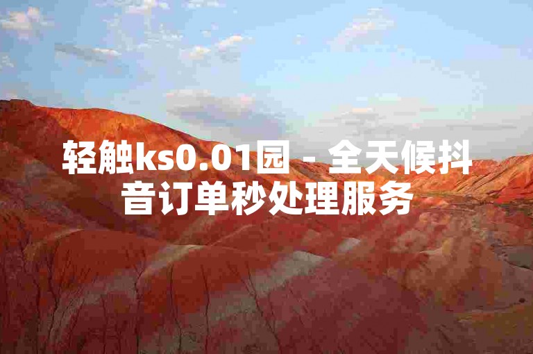 轻触ks0.01园 - 全天候抖音订单秒处理服务