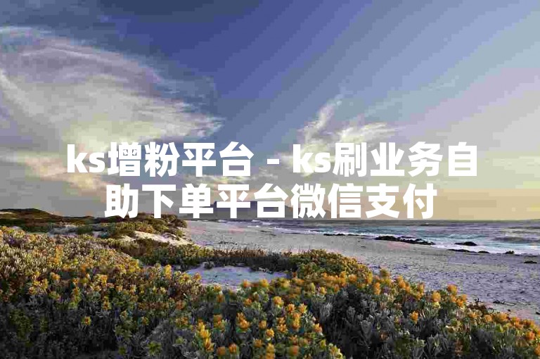 ks增粉平台 - ks刷业务自助下单平台微信支付