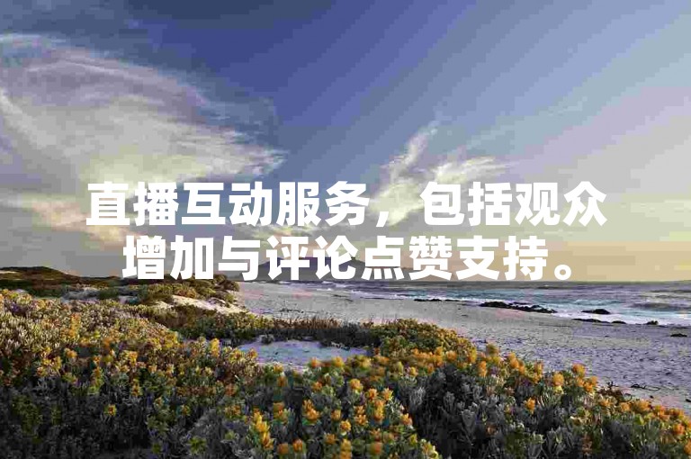 直播互动服务，包括观众增加与评论点赞支持。