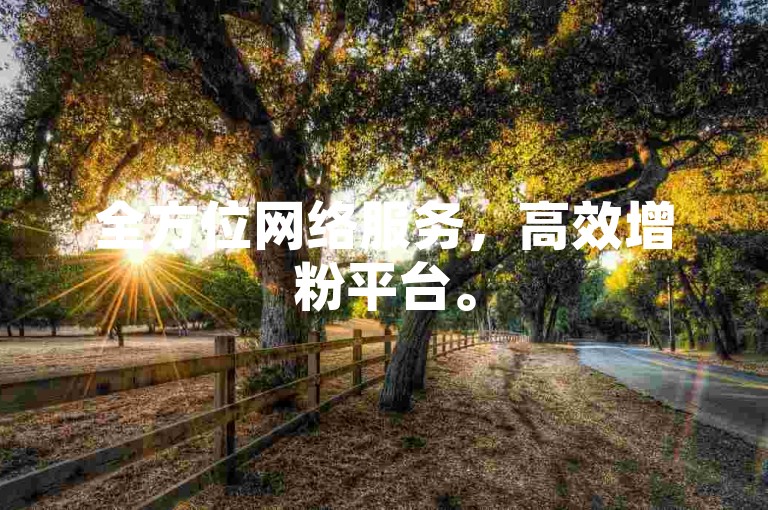 全方位网络服务，高效增粉平台。