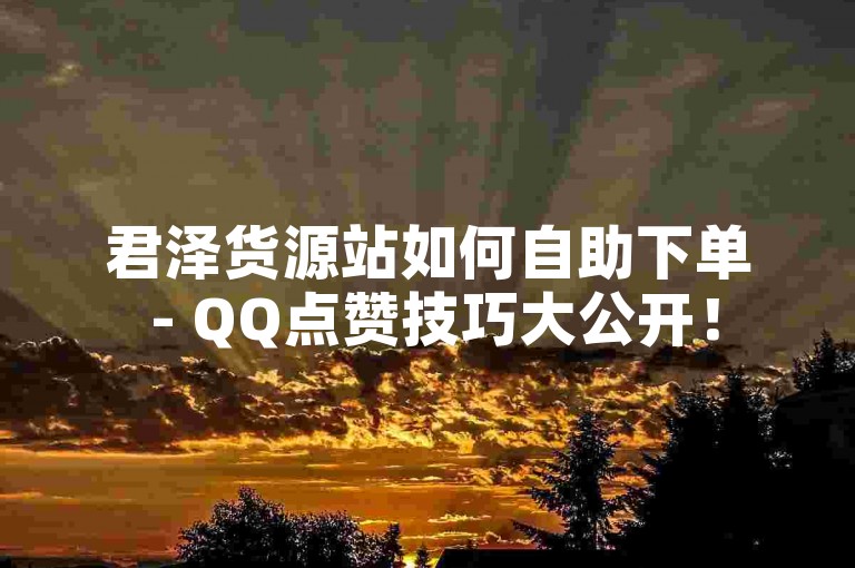 君泽货源站如何自助下单 - QQ点赞技巧大公开！