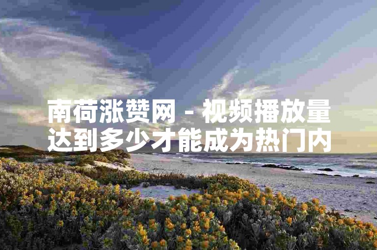 南荷涨赞网 - 视频播放量达到多少才能成为热门内容。