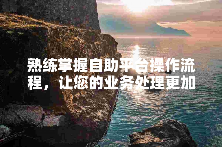 熟练掌握自助平台操作流程，让您的业务处理更加快捷且精准。
