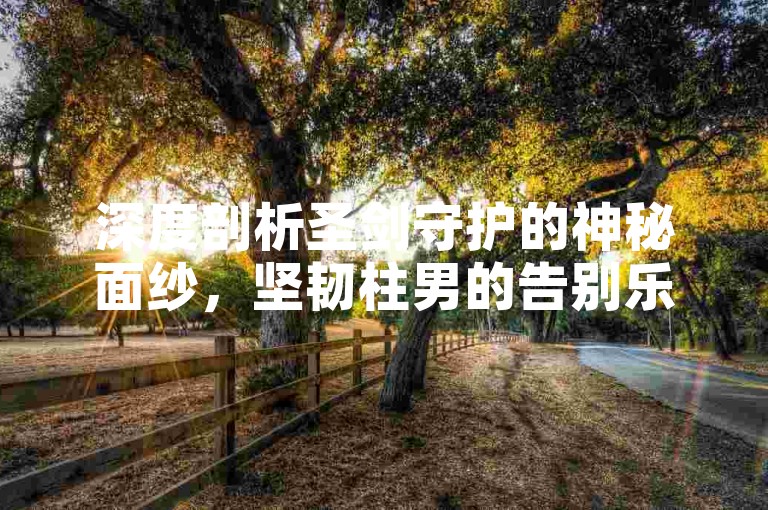 深度剖析圣剑守护的神秘面纱，坚韧柱男的告别乐章，兄弟情长难以忘怀。