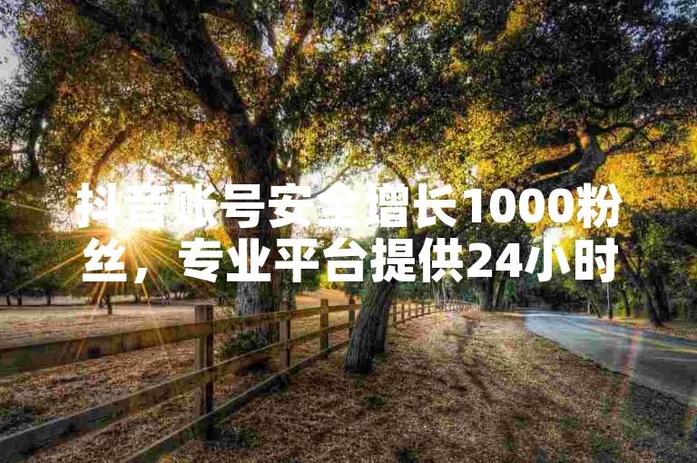 抖音账号安全增长1000粉丝，专业平台提供24小时点赞支持，QQ便捷下单官网手机直通入口。