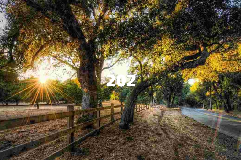 2025拼多多互助群的二维码，是进入该群聊的关键入口。
