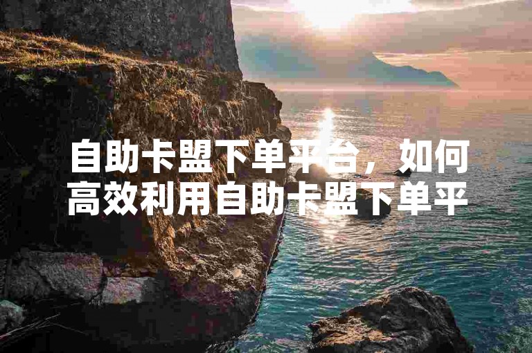 自助卡盟下单平台，如何高效利用自助卡盟下单平台进行业务操作？