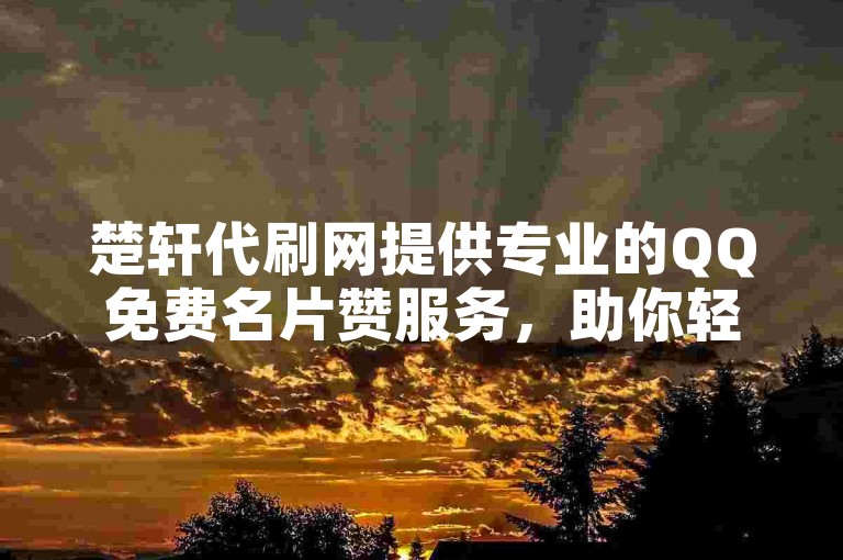 楚轩代刷网提供专业的QQ免费名片赞服务，助你轻松提升人气。