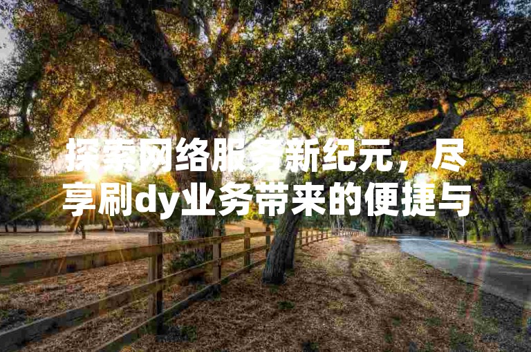 探索网络服务新纪元，尽享刷dy业务带来的便捷与高效。