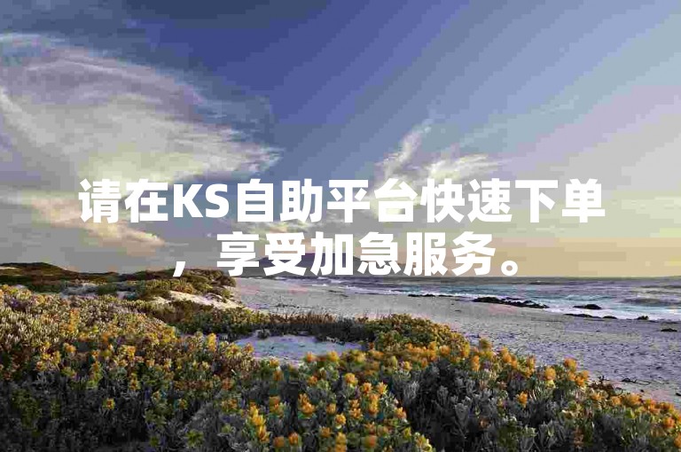 请在KS自助平台快速下单，享受加急服务。