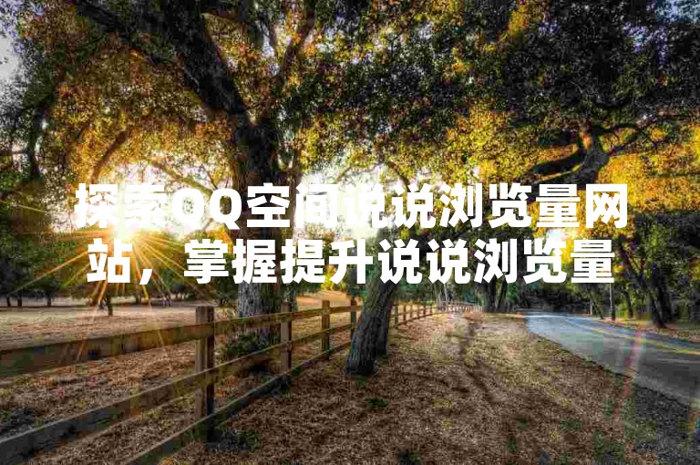 探索QQ空间说说浏览量网站，掌握提升说说浏览量的实用攻略。