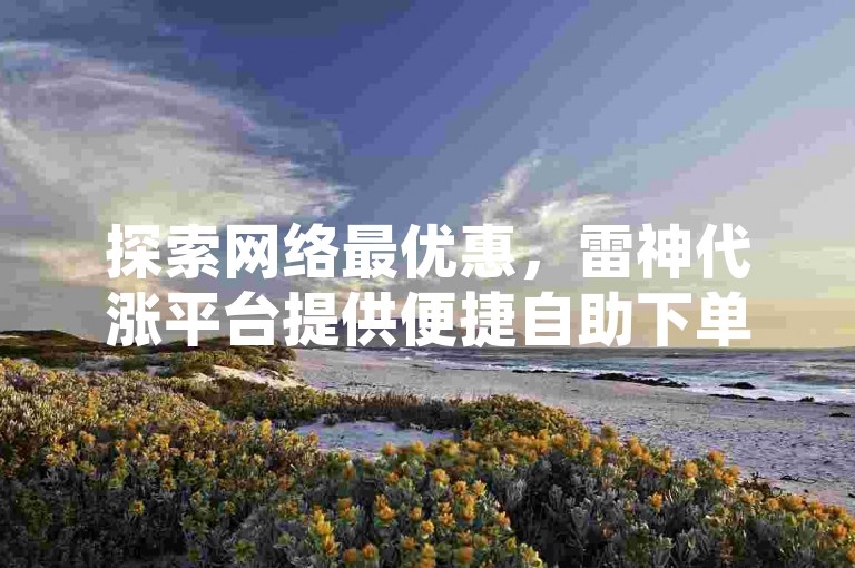 探索网络最优惠，雷神代涨平台提供便捷自助下单服务。