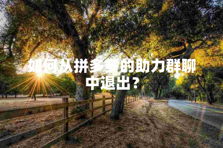 如何从拼多多的助力群聊中退出？