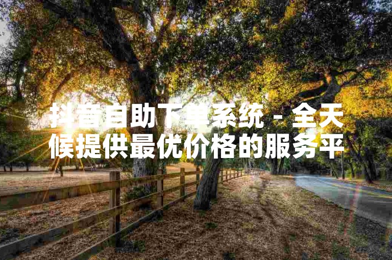 抖音自助下单系统 - 全天候提供最优价格的服务平台。