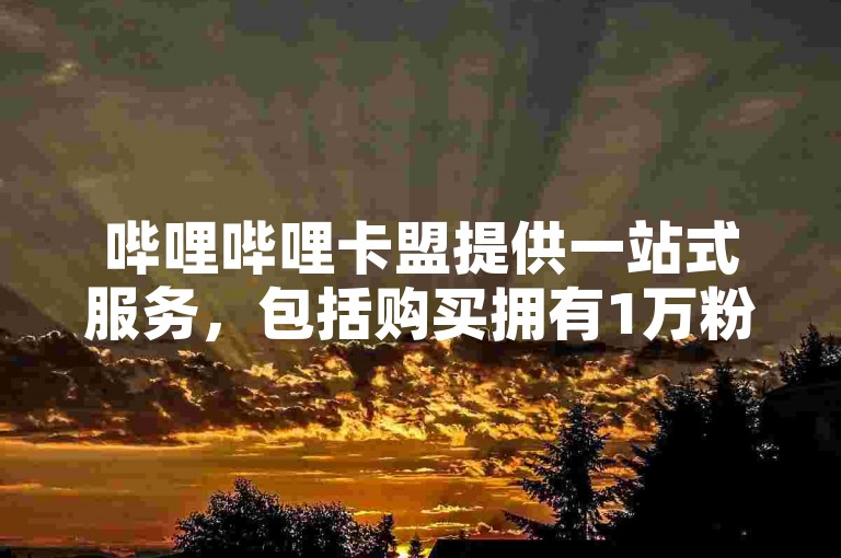 哔哩哔哩卡盟提供一站式服务，包括购买拥有1万粉丝的快手账号。