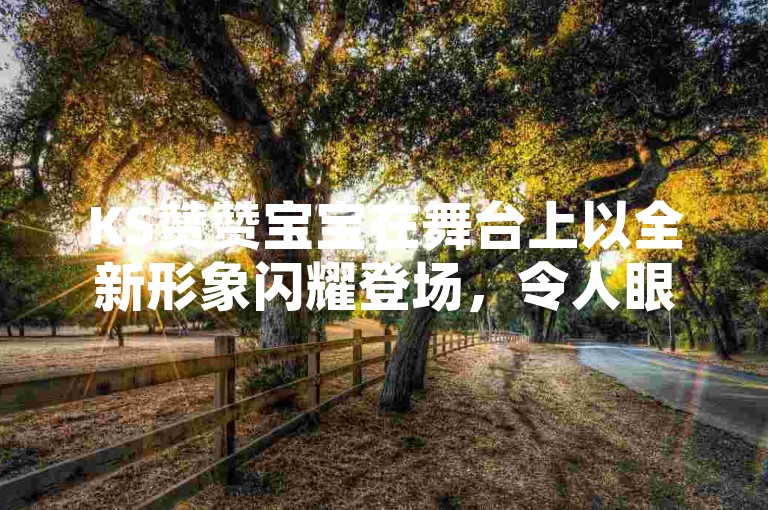 KS赞赞宝宝在舞台上以全新形象闪耀登场，令人眼前一亮。