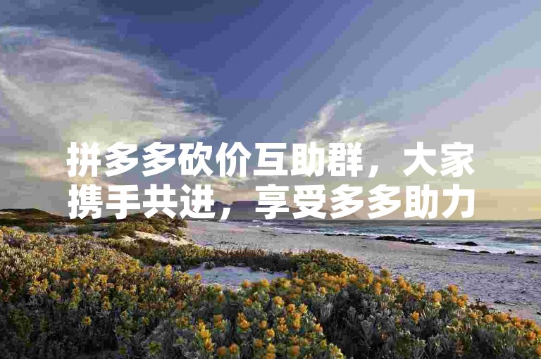 拼多多砍价互助群，大家携手共进，享受多多助力平台带来的优惠与乐趣。