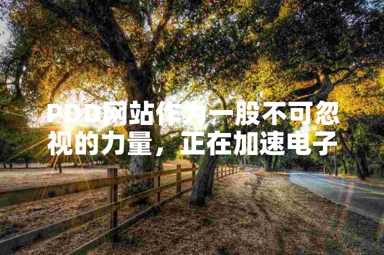 PDD网站作为一股不可忽视的力量，正在加速电子商务领域的革新步伐。
