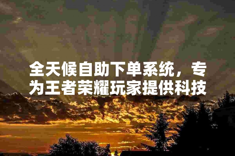 全天候自助下单系统，专为王者荣耀玩家提供科技辅助购买服务。