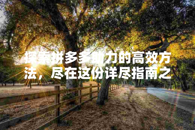 探索拼多多助力的高效方法，尽在这份详尽指南之中。