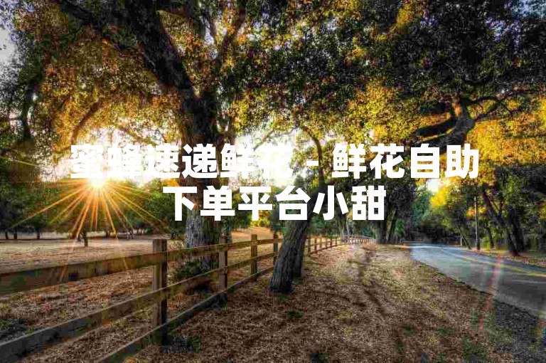 蜜蜂速递鲜花 - 鲜花自助下单平台小甜
