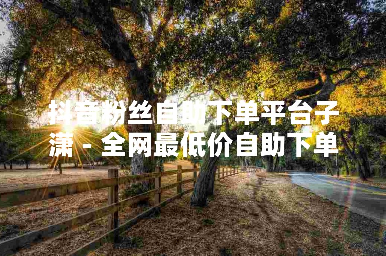 抖音粉丝自助下单平台子潇 - 全网最低价自助下单平台dy