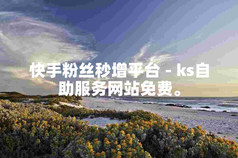 快手粉丝秒增平台 - ks自助服务网站免费。