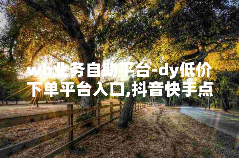 wb业务自助平台-dy低价下单平台入口,抖音快手点赞粉丝