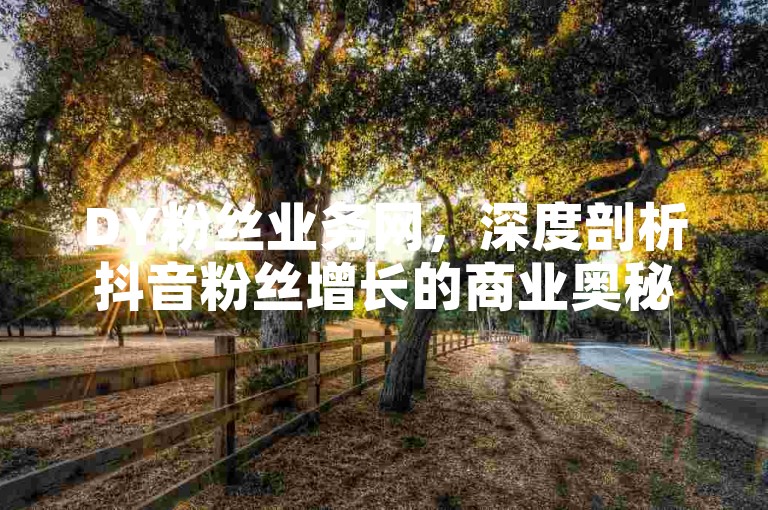 DY粉丝业务网，深度剖析抖音粉丝增长的商业奥秘与高效运营之道。