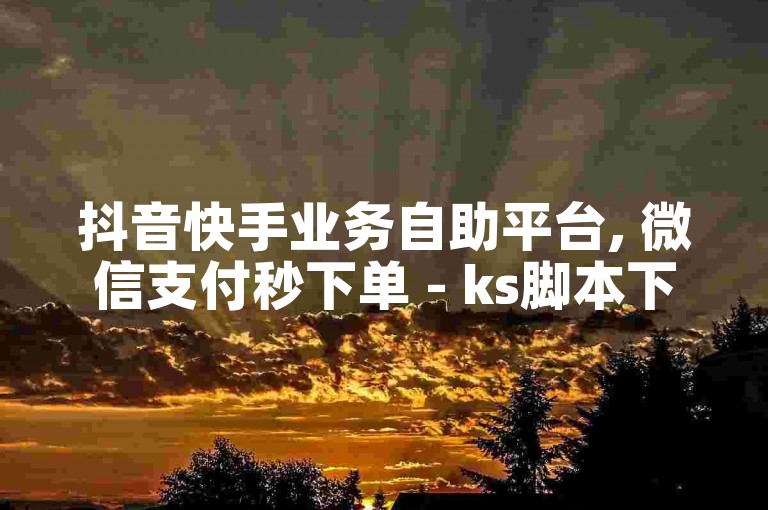抖音快手业务自助平台, 微信支付秒下单 - ks脚本下载及24小时服务。