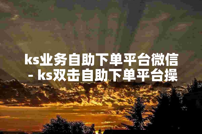ks业务自助下单平台微信 - ks双击自助下单平台操作指南