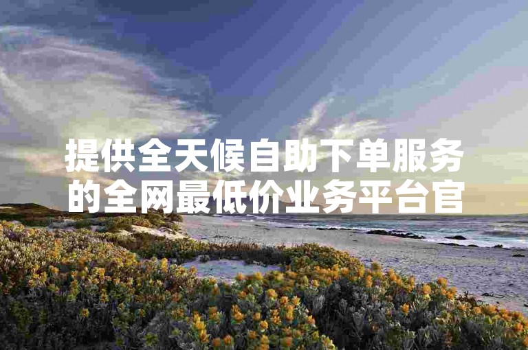 提供全天候自助下单服务的全网最低价业务平台官网，确保客户随时享受最优惠的价格。