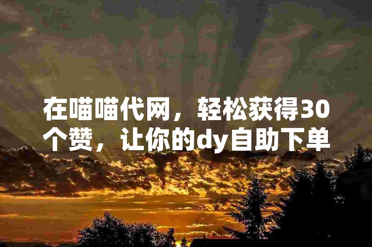 在喵喵代网，轻松获得30个赞，让你的dy自助下单平台网站人气飙升！