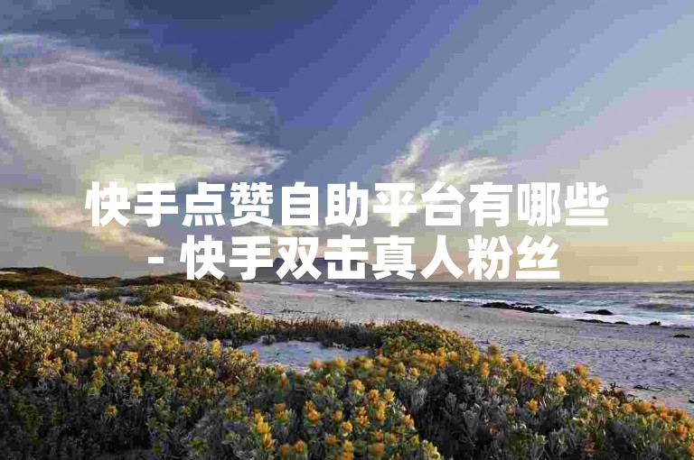快手点赞自助平台有哪些 - 快手双击真人粉丝
