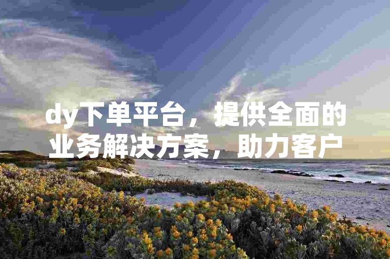 dy下单平台，提供全面的业务解决方案，助力客户实现高效运营。